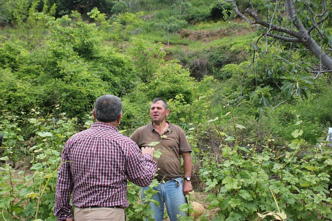 Berat Grand Wine Tasting & Food Tour - Logistics and Group Size