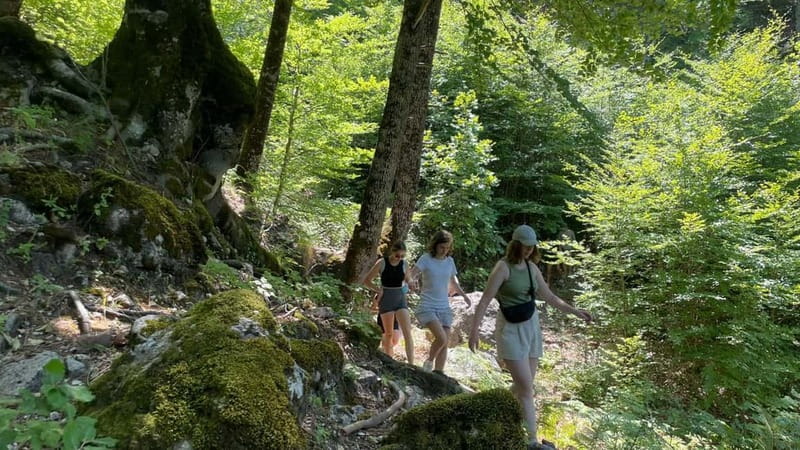 Berat: Tomorr Mountain and Lakes of Dardhë Day Trip - Key Points