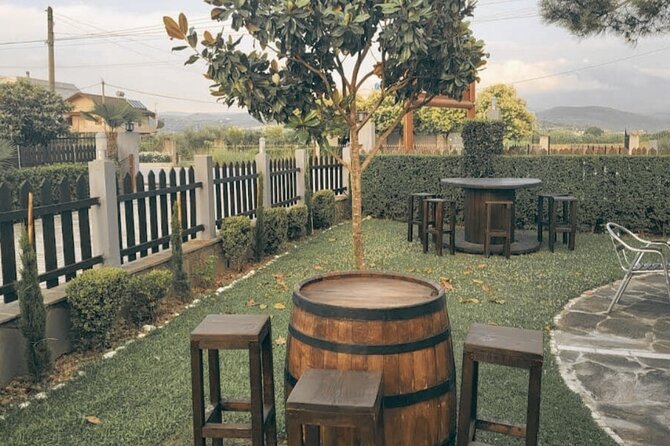 Berat wine Tour Guided Winery Tour with Transfers and Tastings - Who Will Enjoy This Berat Wine Tour?