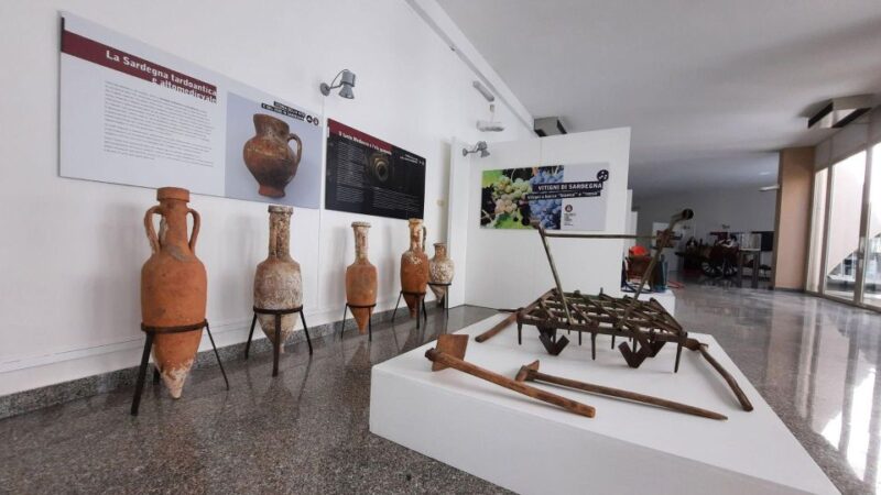 Berchidda: Visit to the Wine Museum with Wine Tasting - The Berchidda Wine Museum: A Journey Through Enological Ethnography