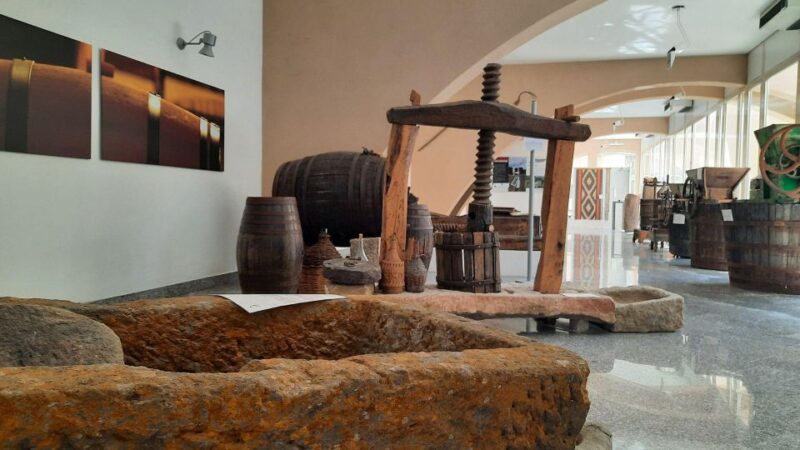 Berchidda: Visit to the Wine Museum with Wine Tasting - Accessibility and Practical Details of the Tour