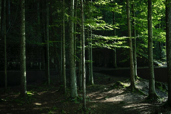 Berchtesgaden-Obersalzberg Private Half Day WWII Historical Tour - Key Points