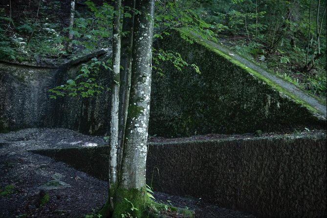 Berchtesgaden-Obersalzberg Private Half Day WWII Historical Tour - Optimal Timing, Pacing, and Suitability