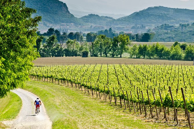 Bergamo and Franciacorta with lunch and cellar visit - Exploring Bergamo and Franciacorta: A Full-Day Tour from Milan