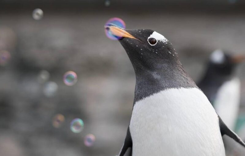 Bergen: Bergen Aquarium Entry Ticket - Bergen Aquarium’s Rich Marine Exhibits