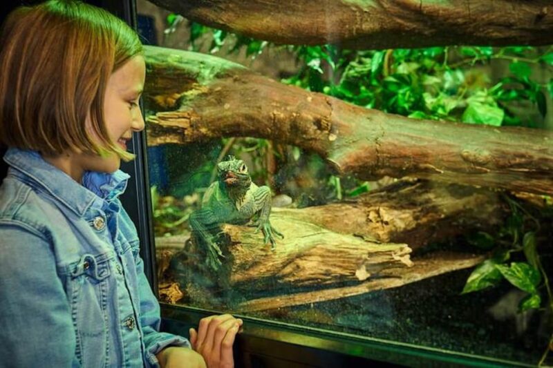 Bergen: Bergen Aquarium Entry Ticket - Fish and Marine Life Exhibits