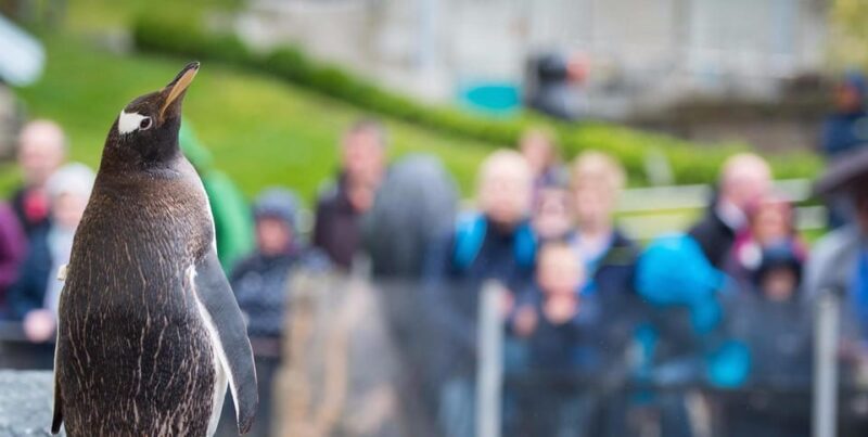 Bergen: Bergen Aquarium Entry Ticket - Engaging Presentations and Feedings Throughout the Day