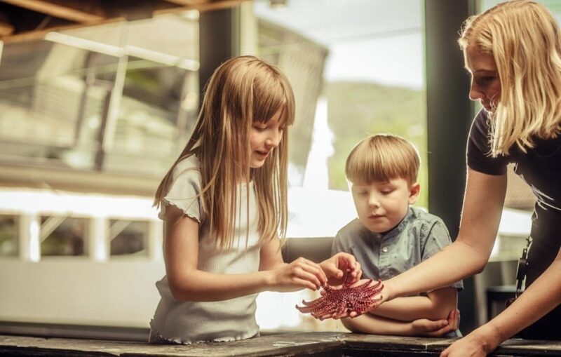 Bergen: Bergen Aquarium Entry Ticket - Bergen Aquarium Compared to Other Activities