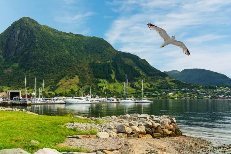 Bergen: Bondhus Glacier Lake & Rosendal Guided Day Trip - The Long Road Through Kvamskogen and Final Return to Bergen