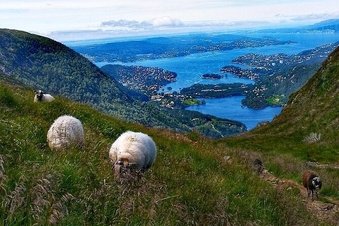 Bergen Classic Private hiking - Practical Details and Equipment Needed