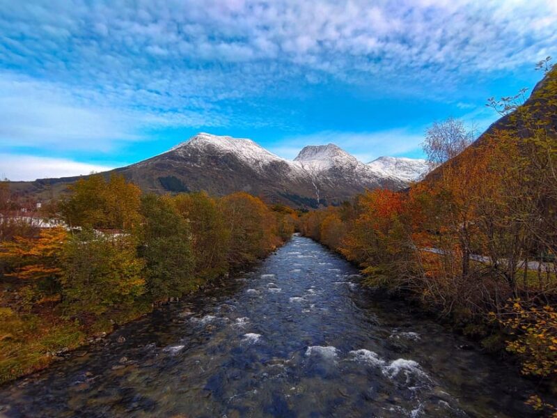 Bergen: Cruise to beautiful Rosendal by the Hardangerfjord - Bergen to Rosendal: Scenic Cruise with Free Exploration