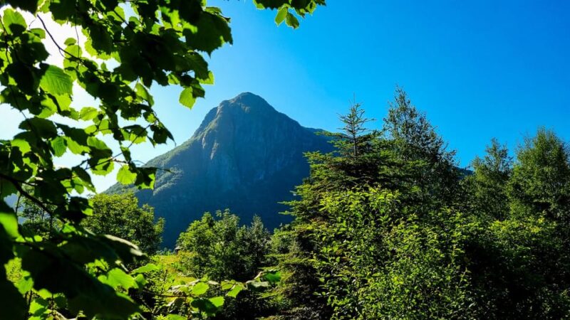 Bergen: Cruise to beautiful Rosendal by the Hardangerfjord - Exploring Rosendal Village and Its Key Attractions