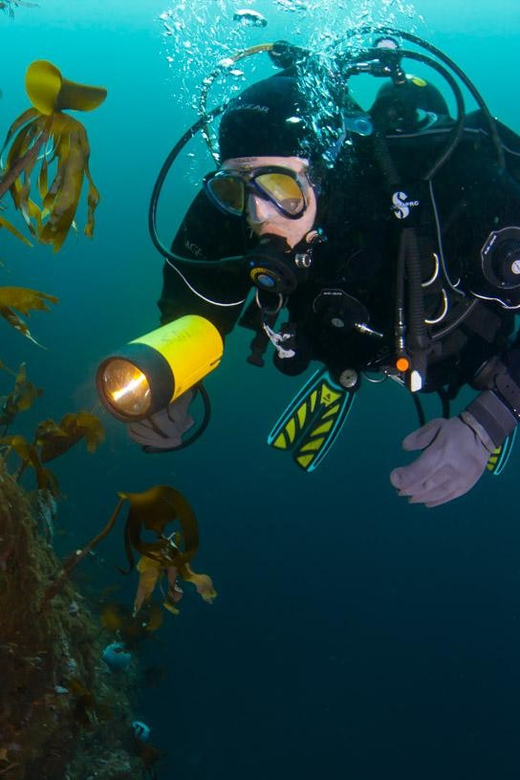Bergen: Guided Scuba Diving - Suitability and Physical Requirements