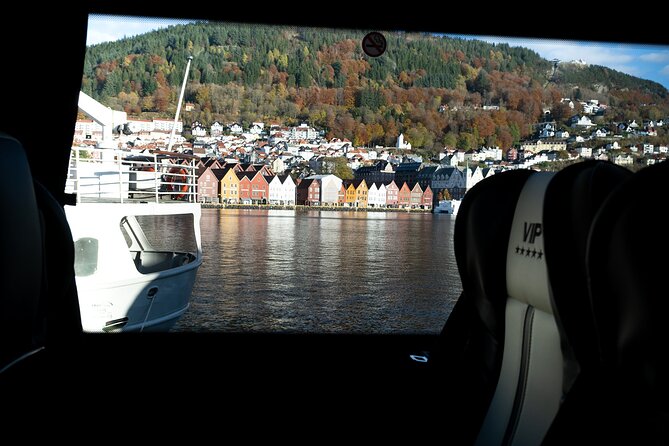 Bergen: Guided Tour by Minibus with Local Guide & Photostops - The Final Highlights: Bryggen and the Fishery Museum