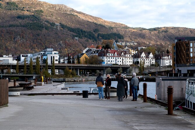 Bergen: Guided Tour by Minibus with Local Guide & Photostops - Practicalities: Meeting Points, Group Size, and Accessibility