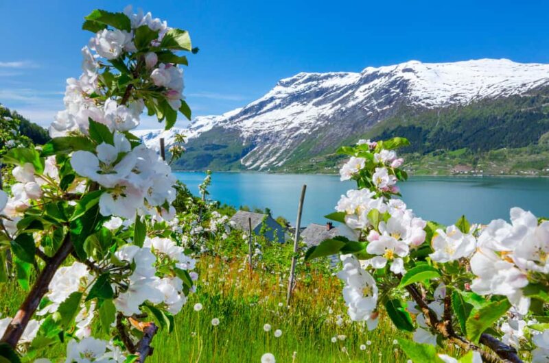 Bergen: Hardanger Fjord, Waterfalls, Culture & Apple Pie - Morkholsfossen and Fossen Bratte: Waterfalls with Photo Opportunities