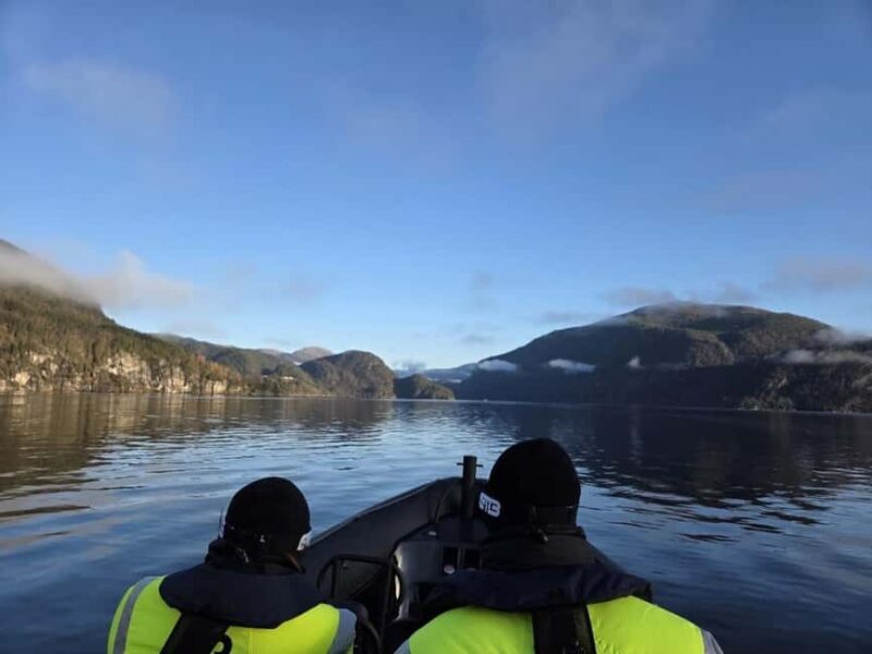 Bergen: Mostraumen Fjord Safari by Premium RIB Boat - Practicalities: Pacing, Timing, and Weather Considerations