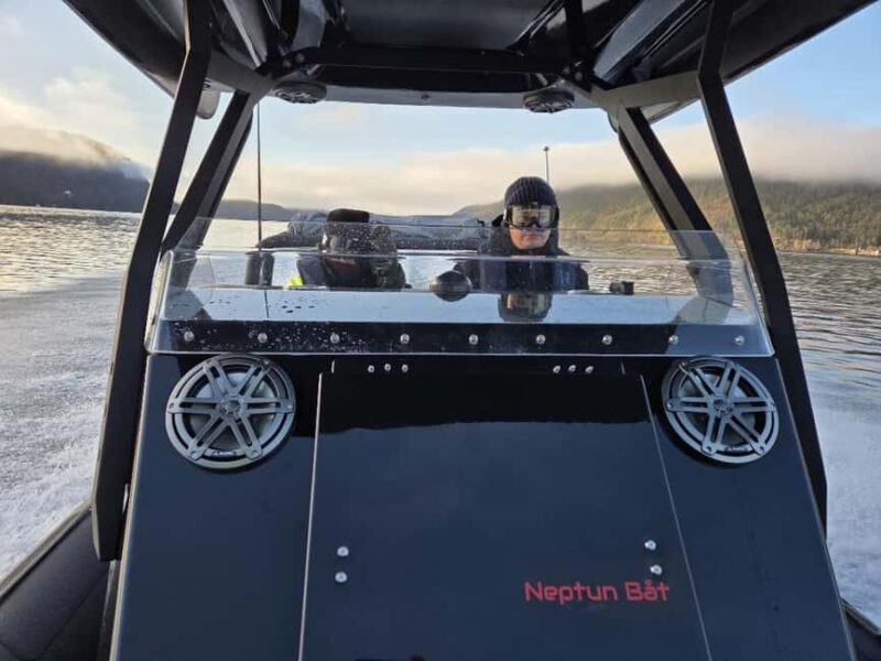 Bergen: Mostraumen Fjord Safari by Premium RIB Boat - How This Tour Stands Out From Other Fjord Experiences