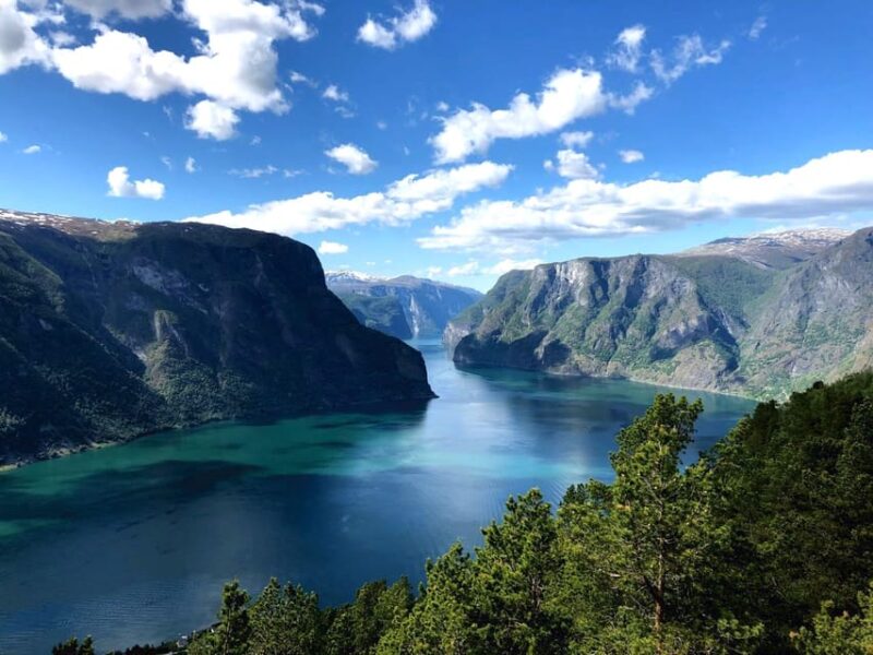 Bergen: Nærøyfjorden, Flåm, and Stegastein Guided Bus Tour - Why This Tour Stands Out Among Others