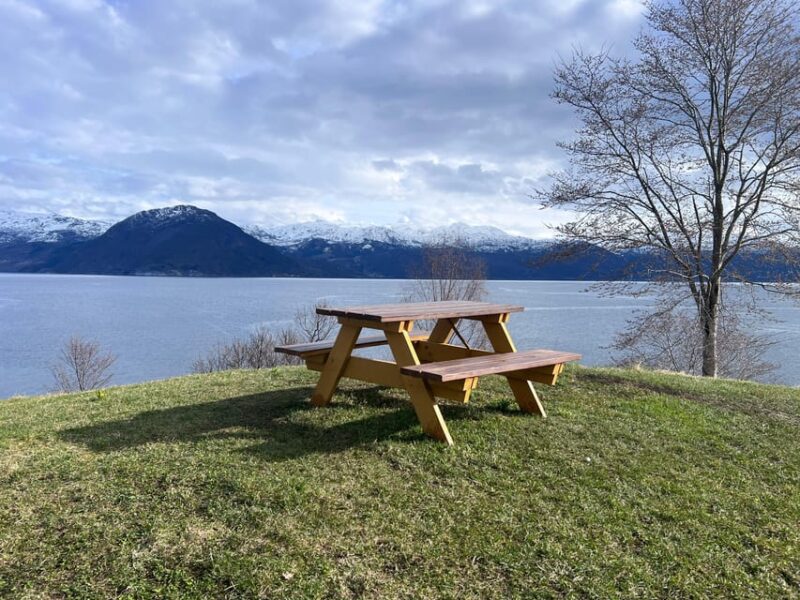 Bergen: Private City Tour with the Best of Hardangerfjord - Practical Details and Accessibility