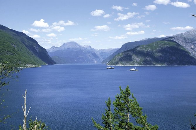 Bergen: Private Full-Day Roundtrip to Hardangerfjord with cruise - Crossing the Hardanger Bridge and Panoramic Views