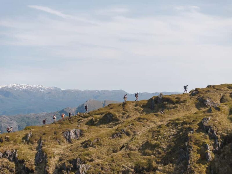 Bergen: Private Guided Fjord Hike - Learning About Norway’s Landscape, History, and Culture