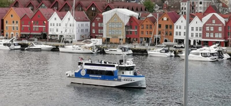 Bergen: Sightseeing Cruise of Bergen's Historic Landmarks - Accessibility and Family-Friendly Features