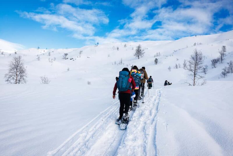 Bergen: Snowshoe Hike - Key Points