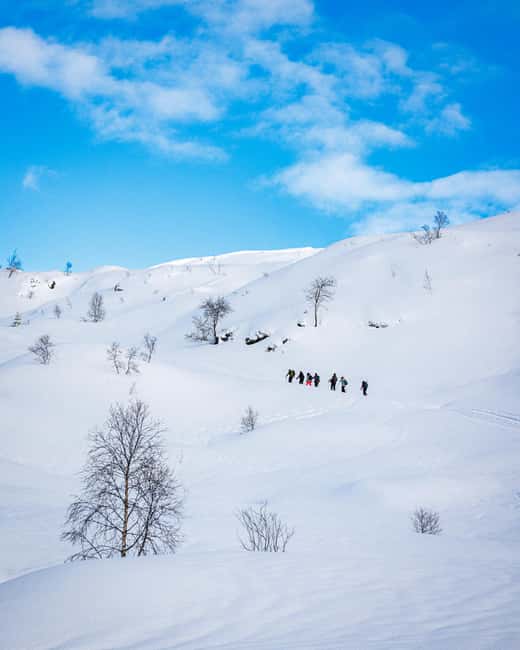 Bergen: Snowshoe Hike - Reaching the Summit for Fjord Views and Winter Power