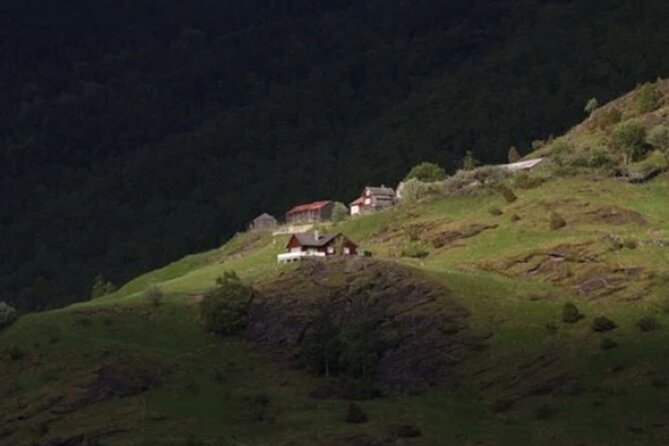 Bergen to Flam "The King of Fjords" One-Way or Round-Trip Cruise Ticket - Return Journey: Scenic Water and Mountain Views