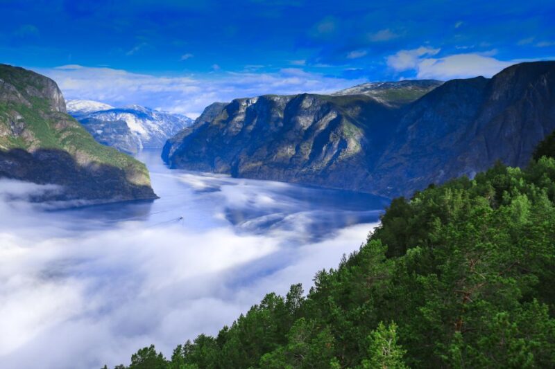 Bergen: Viking Village, Nærøyfjord Cruise & Flåm Railway - Bergen to Gudvangen: Starting your adventure in Norway’s mountains