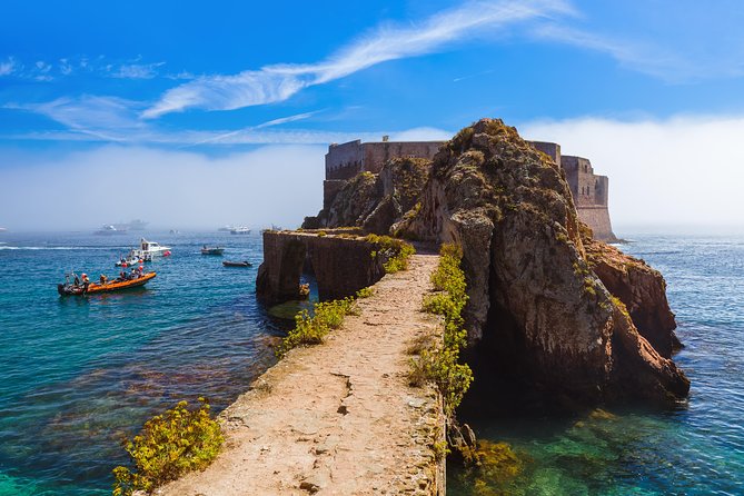 Berlenga Island Full Day Tour from Lisbon - The Review Perspective: Strengths and Limitations