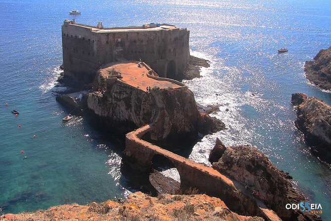 Berlengas Island Catamaran Tour - Round Trip - Wildlife Spotting and Scenic Views