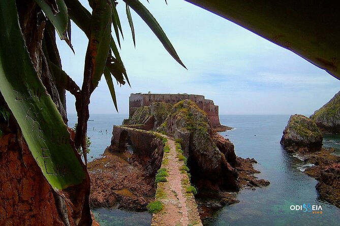 Berlengas Island Catamaran Tour - Round Trip - Visiting Berlengas Natural Reserve and Rugged Trails