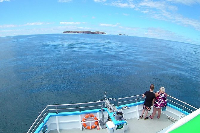 Berlengas Island Catamaran Tour - Round Trip - Who Will Enjoy This Tour Most