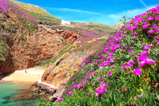 Berlengas Island Catamaran Tour + Snorkeling - Reviews and Overall Feedback