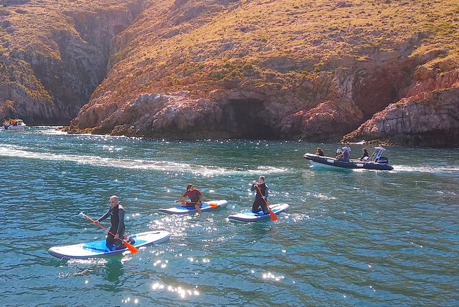 Berlengas Island Catamaran Tour + SUP - Value and What is Not Included