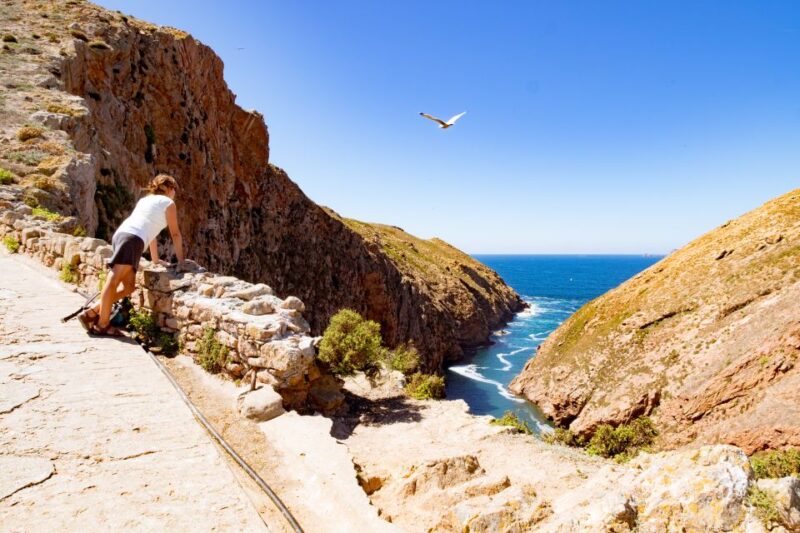 Berlengas The Atlantic Frontier: Day Tour from Lisbon - Who Will Enjoy This Tour Most?