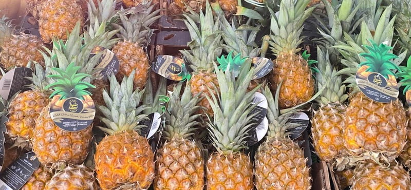 Berlin: 3.5-hour bike tour  A journey through time in the capital - What Sets This Tour Apart from Other Berlin Bike Tours