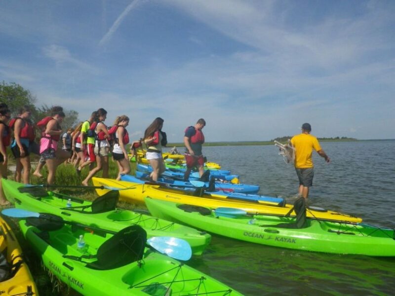 Berlin: Assateague Island Wildlife Discovery Kayak Tour - Discover Maryland’s Wildlife on a Kayak Tour from Berlin