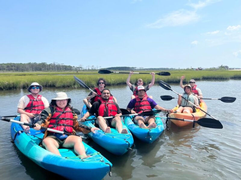 Berlin: Assateague Island Wildlife Discovery Kayak Tour - The Value of a Guided Kayak Tour in Assateague
