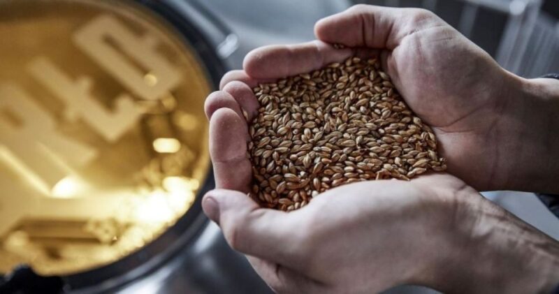 Berlin: BRLO BRWHOUSE Tour and Craft Beer Tasting - Additional Perks and Amenities at BRLO Brwhouse