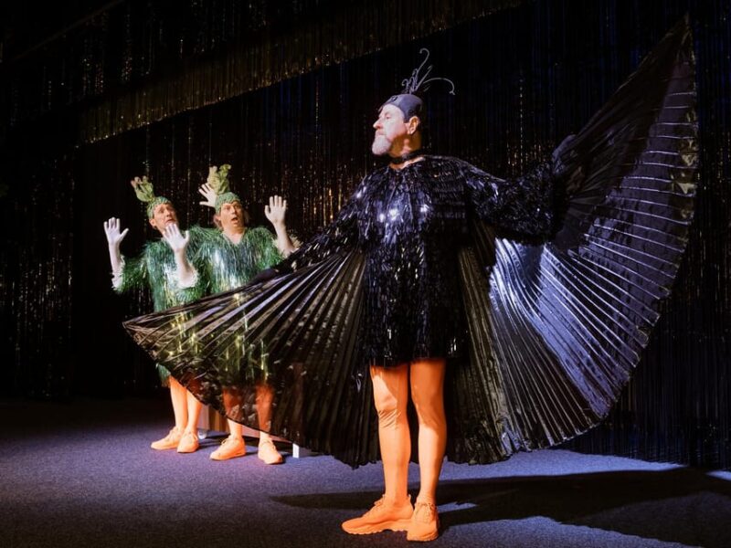 Berlin: DISTEL - The capital cabaret - Who benefits most from this cabaret experience