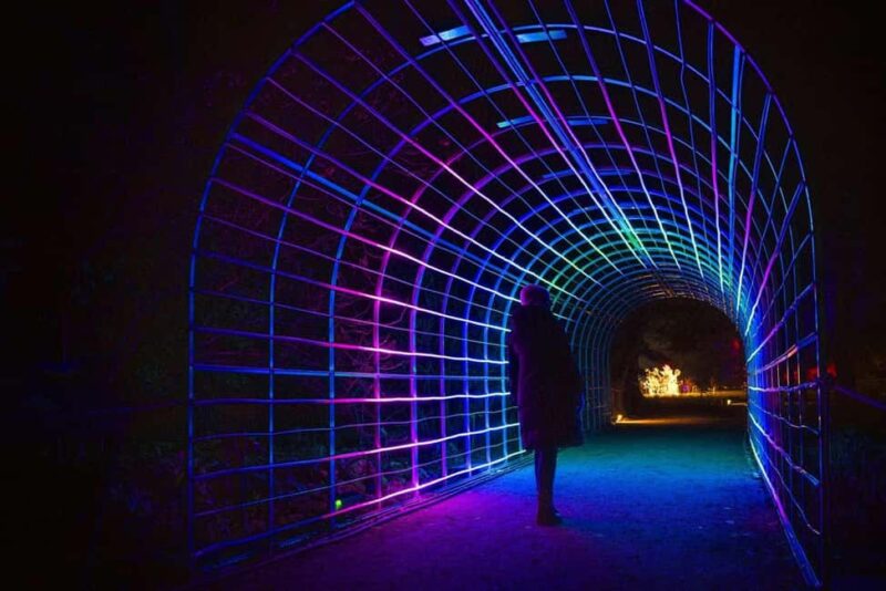 Berlin: Entry Ticket to Christmas at Tierpark - Discover the Festive Glow of Christmas at Tierpark Berlin