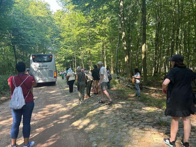 Berlin: Historical Tour along the Death March Path with Car - Visiting the Forest of Below: A Key Historical Site