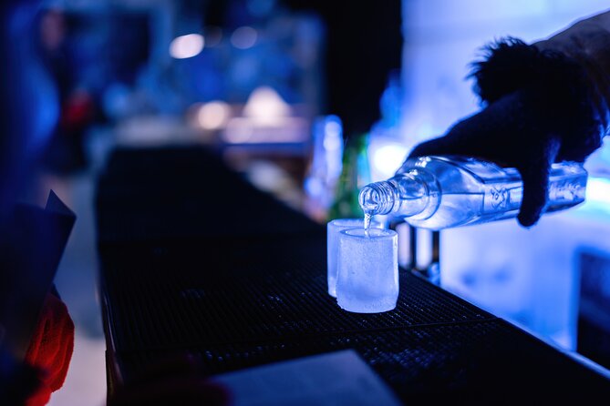 Berlin Icebar Experience Including 3 drinks - The Experience for Families and Solo Visitors