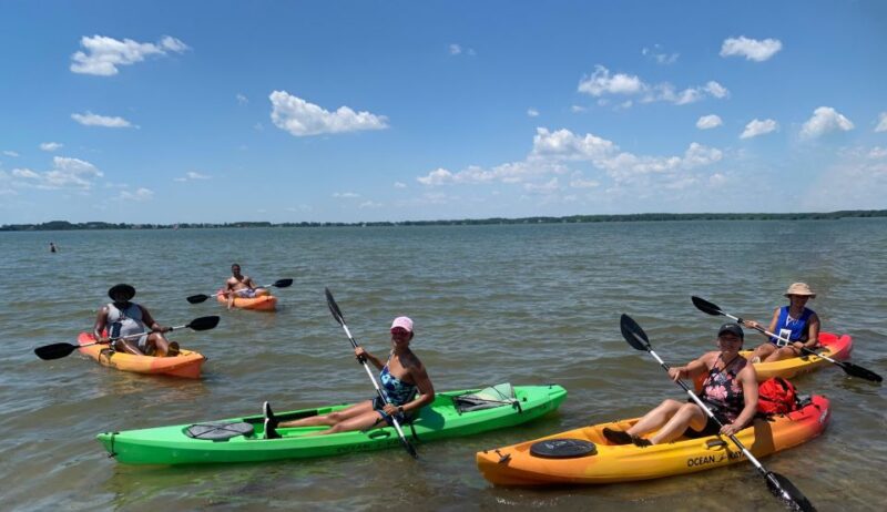 Berlin, MD: Full-, Half, or Quarter-Day Kayak Rental - Wildlife and Ecosystem: What to Expect on the Water