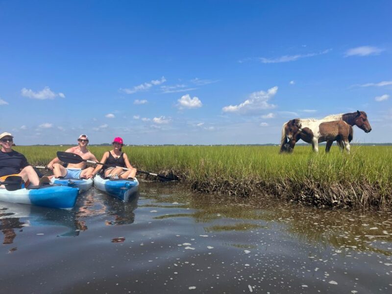 Berlin, MD: Full-, Half, or Quarter-Day Kayak Rental - Assateague Kayak Rental: Who Will Enjoy It Most?