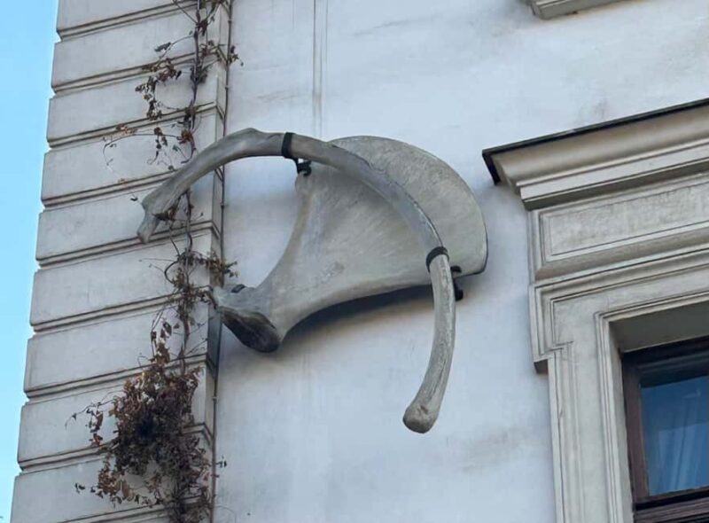 Berlin Mitte: City tour legends from medieval Berlin - Visiting the Rotes Rathaus and Berlin Palace