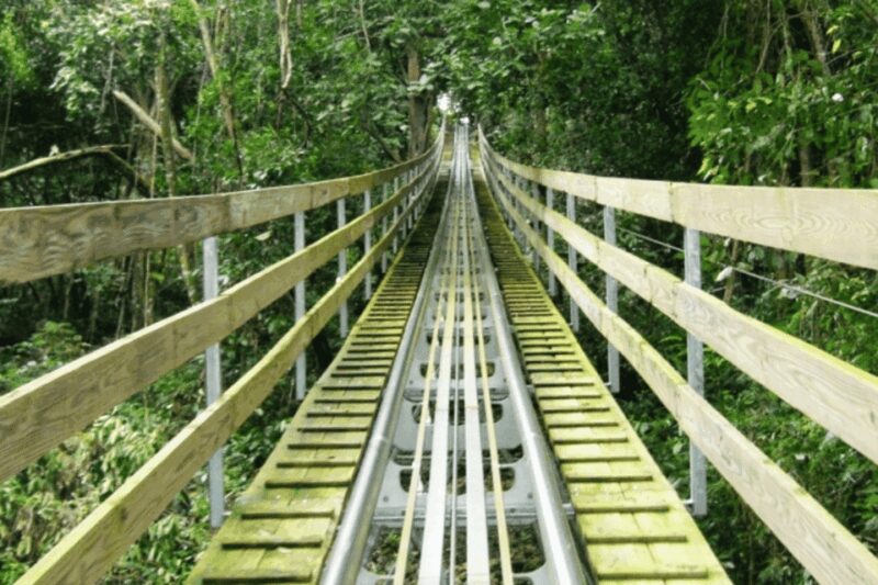 Berlin: Nature Bobsled Run Ticket - What to Expect During the Ride